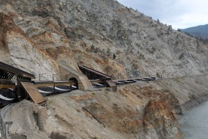 Gorgeous train passing through the tunnel