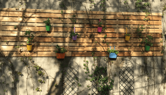 My garden wall with veggies, herbs and berries.